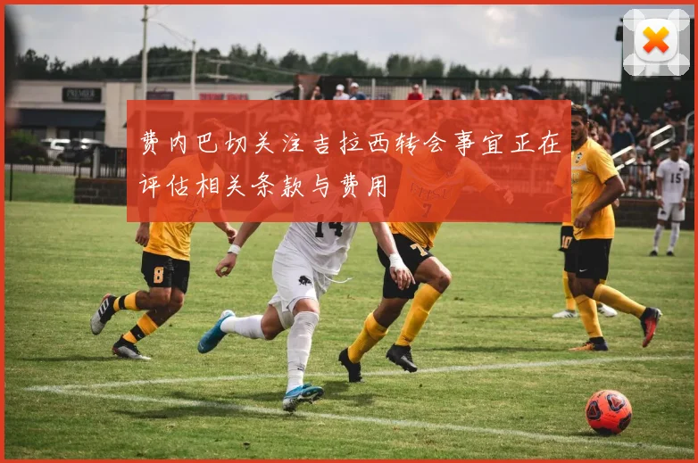 费内巴切关注吉拉西转会事宜正在评估相关条款与费用