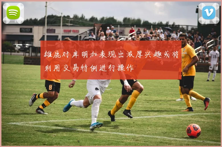雄鹿对库明加表现出浓厚兴趣或将利用交易特例进行操作