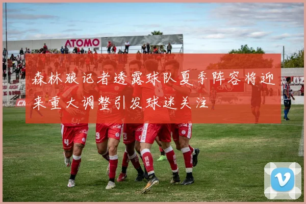 森林狼记者透露球队夏季阵容将迎来重大调整引发球迷关注