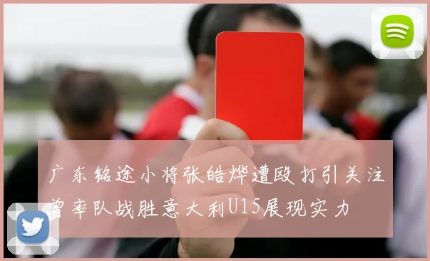 广东铭途小将张皓烨遭殴打引关注曾率队战胜意大利U15展现实力